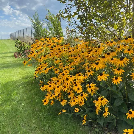 Les Bois De Champagne L'industriel Сasa de vacaciones