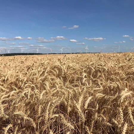 Les Bois De Champagne L'industriel Magnant