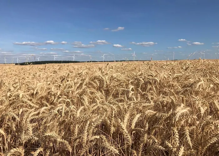 Les Bois De Champagne L'industriel Magnant